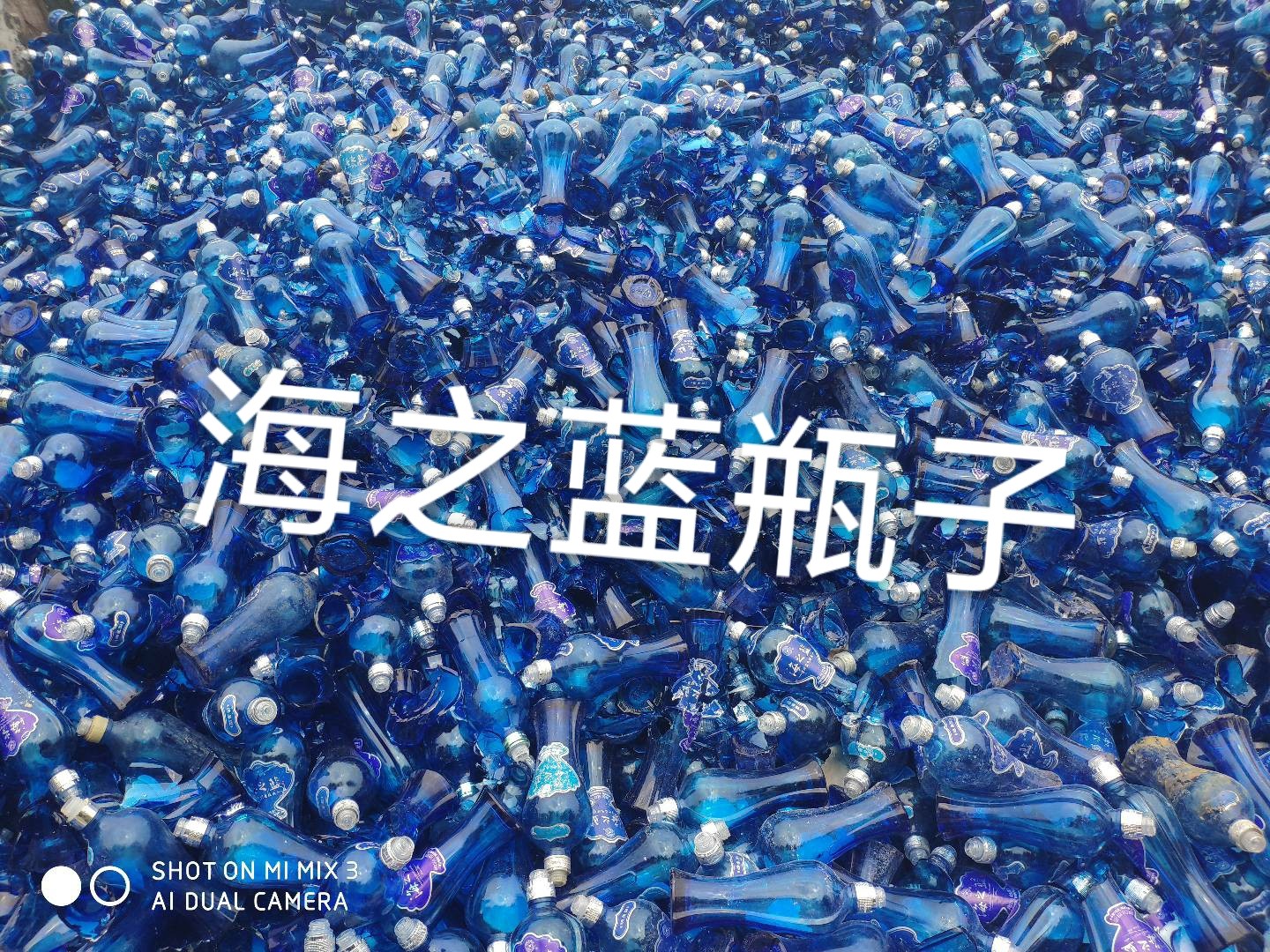 高邮海之蓝瓶回收